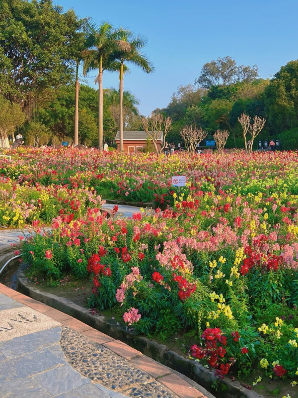三山森林公園（圖片來源：小紅書@一隻宅.）