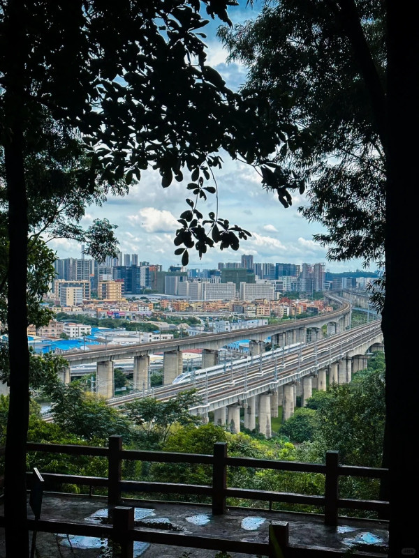 三山森林公園（圖片來源：小紅書@木槿cc）