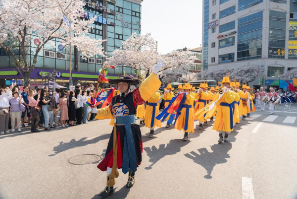 鎮海櫻花2025|鎮海軍港節一日遊 交通攻略+5大賞櫻景點推介!附花期預測