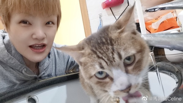 前TVB「御用八婆」北上發展外貌突變? 被指有望成邵音音接班人