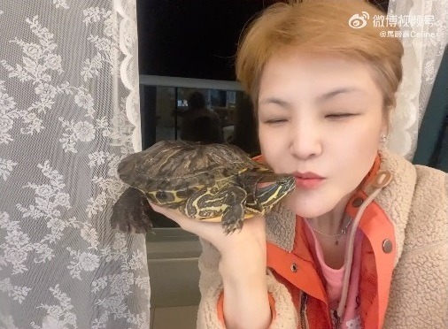 前TVB「御用八婆」北上發展外貌突變? 被指有望成邵音音接班人