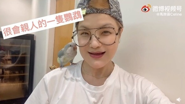 前TVB「御用八婆」北上發展外貌突變? 被指有望成邵音音接班人