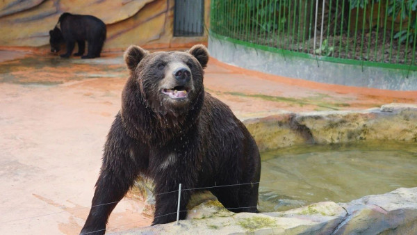 紫馬嶺動物園(圖片來源:中山市紫馬嶺動物園微信公眾號) 紫馬嶺動物園(圖片來源:中山市紫馬嶺動物園微信公眾號)