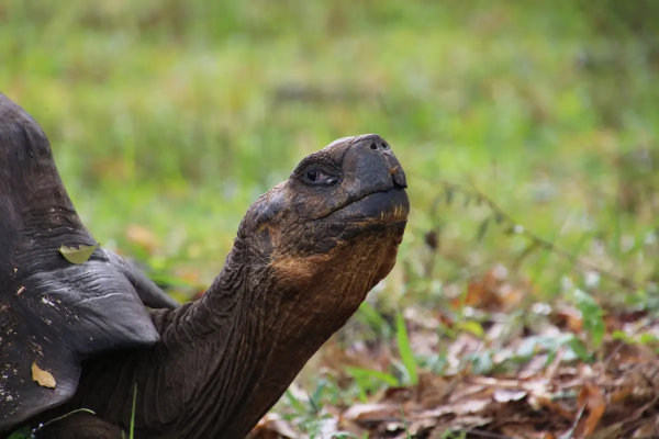 惠州旅遊景點｜西湖、雙月灣景點攻略 國內首個懸崖酒吧 附惠州溫泉酒店推介 