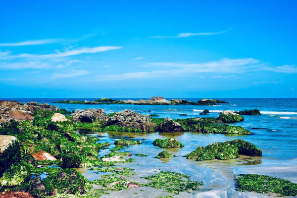 惠州旅遊景點｜西湖、雙月灣景點攻略 國內首個懸崖酒吧 附惠州溫泉酒店推介 