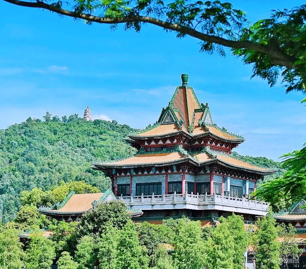 順德旅遊景點好去處|10大必去推介!親子Snoopy樂園/文青打卡碼頭/古風千年水鄉