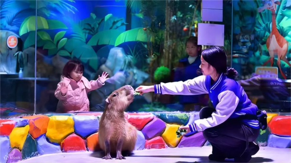 順德旅遊景點好去處|10大必去推介!親子Snoopy樂園/文青打卡碼頭/古風千年水鄉