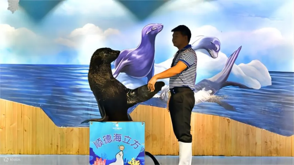 順德旅遊景點好去處|10大必去推介!親子Snoopy樂園/文青打卡碼頭/古風千年水鄉