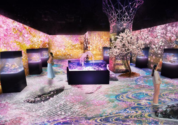 東京品川水族館櫻花季 光影藝術/夜間賞櫻/海豚表演(附門票/交通/預約方法)