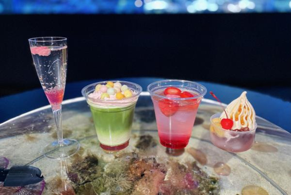 東京品川水族館櫻花季 光影藝術/夜間賞櫻/海豚表演(附門票/交通/預約方法)