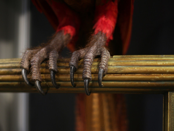 哈利波特影城2027年進駐上海錦江樂園 融入中國元素互動體驗