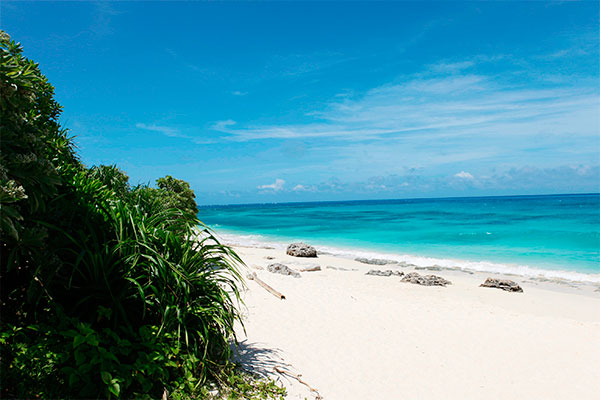 沖繩宮古島自由行景點/美食/酒店攻略!日本最美海灘/最長免費跨海大橋/天然溫泉樂園