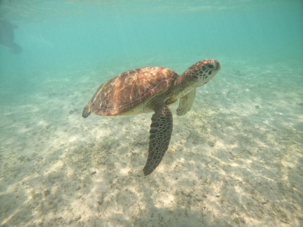沖繩宮古島自由行景點/美食/酒店攻略!日本最美海灘/最長免費跨海大橋/天然溫泉樂園