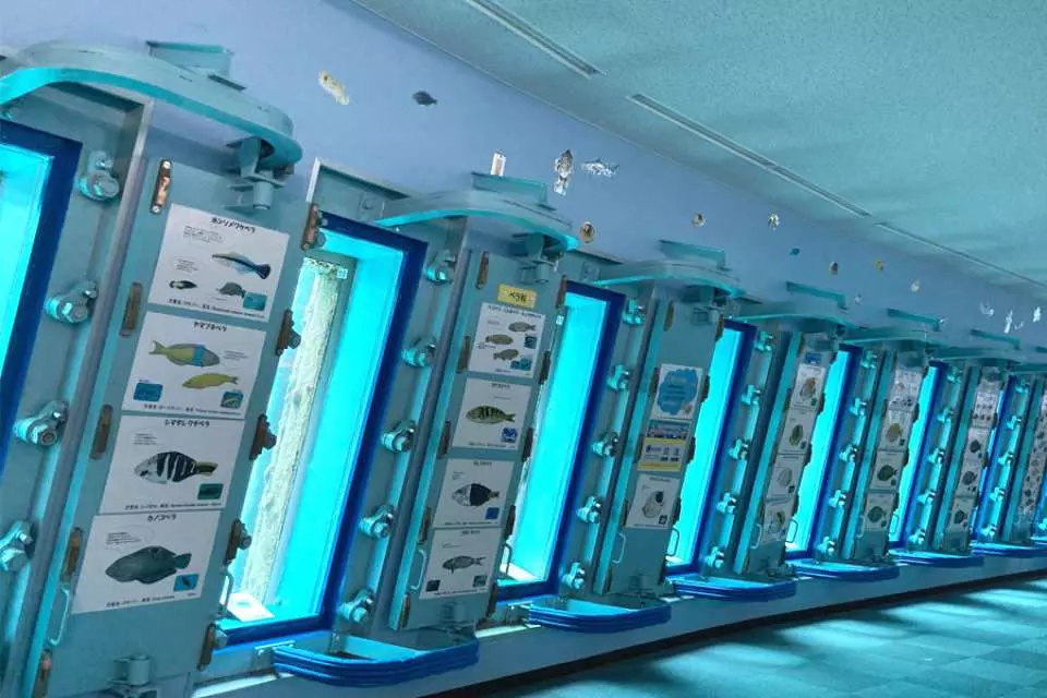 沖繩宮古島自由行景點/美食/酒店攻略!日本最美海灘/最長免費跨海大橋/天然溫泉樂園