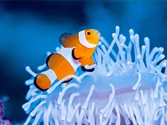 沖繩宮古島自由行景點/美食/酒店攻略!日本最美海灘/最長免費跨海大橋/天然溫泉樂園