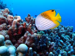 沖繩宮古島自由行景點/美食/酒店攻略!日本最美海灘/最長免費跨海大橋/天然溫泉樂園