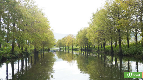 【花蓮2025行程】香港直航飛花蓮3日2夜8大景點！台版霍格華茲城堡酒店/世界上唯二橫跨板塊大橋 