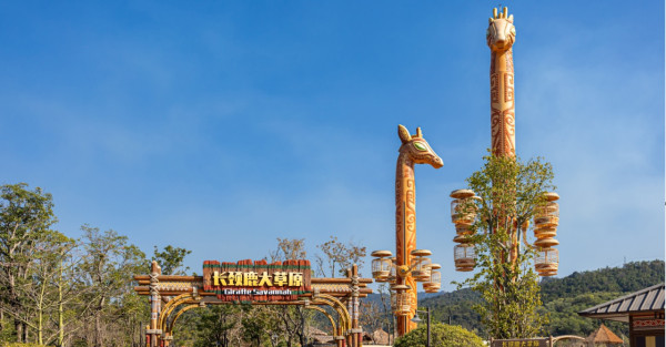 長隆森林王國主題區域｜02. 長頸鹿大草原