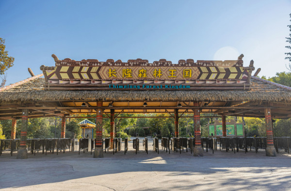 長隆森林王國主題區域｜02. 長頸鹿大草原