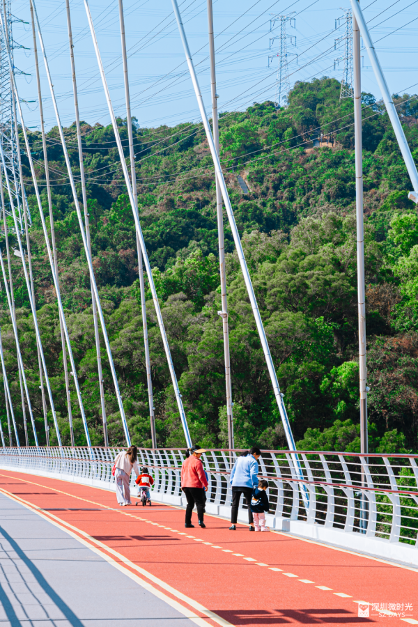 深圳新開水庫綠道 必去打卡白橋 前身羅湖最大社區公園 