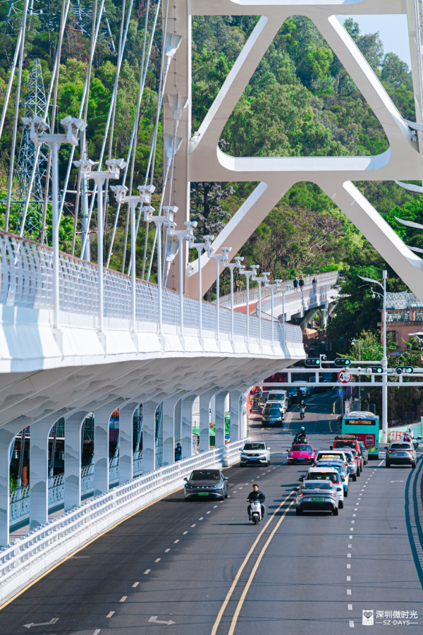 深圳新開水庫綠道 必去打卡白橋 前身羅湖最大社區公園 