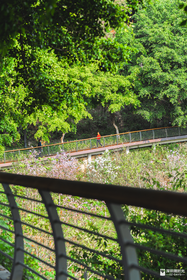 深圳新開水庫綠道 必去打卡白橋 前身羅湖最大社區公園 