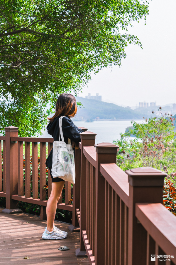 深圳新開水庫綠道 必去打卡白橋 前身羅湖最大社區公園 