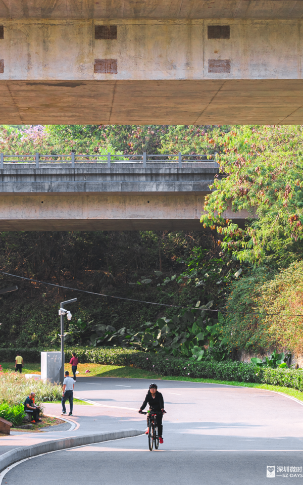 深圳新開水庫綠道 必去打卡白橋 前身羅湖最大社區公園 