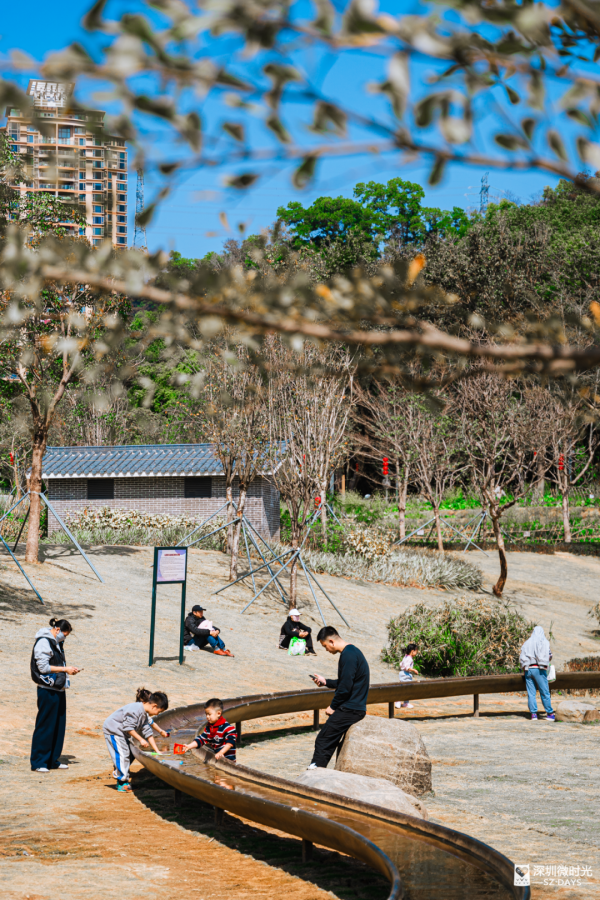 深圳新開水庫綠道 必去打卡白橋 前身羅湖最大社區公園 