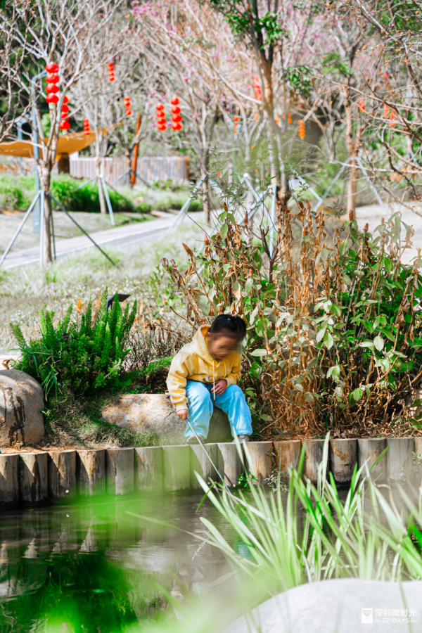 深圳新開水庫綠道 必去打卡白橋 前身羅湖最大社區公園 