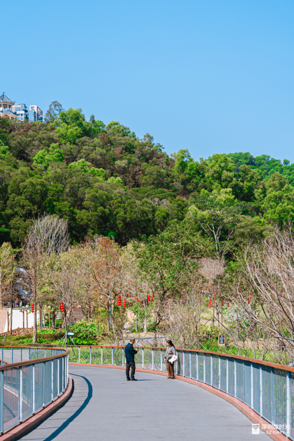深圳新開水庫綠道 必去打卡白橋 前身羅湖最大社區公園 