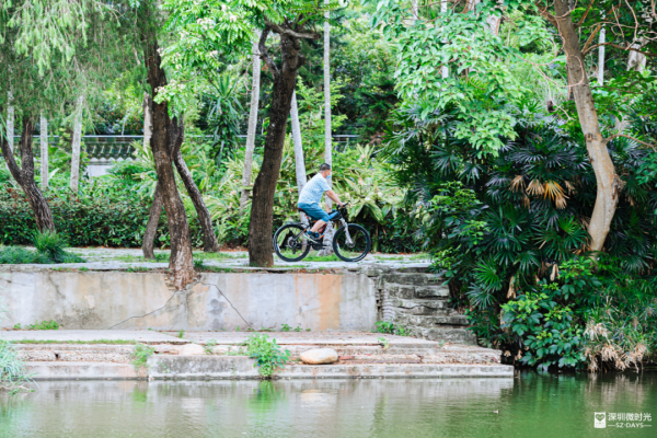 深圳新開水庫綠道 必去打卡白橋 前身羅湖最大社區公園 