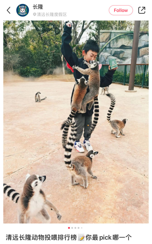 清遠長隆森林王國開幕 9大主題區 搭蒸汽火車睇動物大遷徙 附酒店/交通資訊 