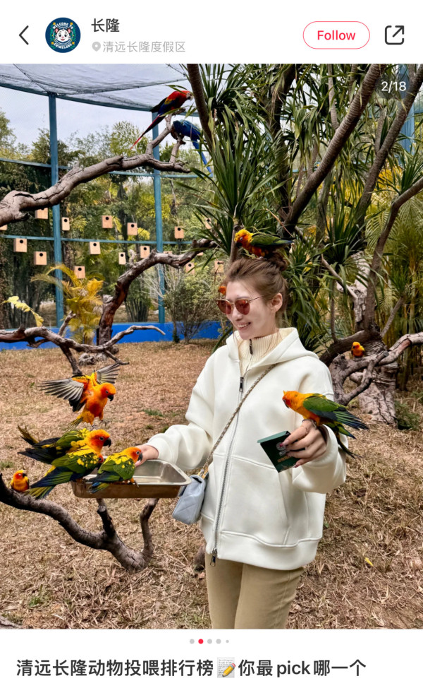 長隆森林王國主題區域｜05. 鸚鵡雨林