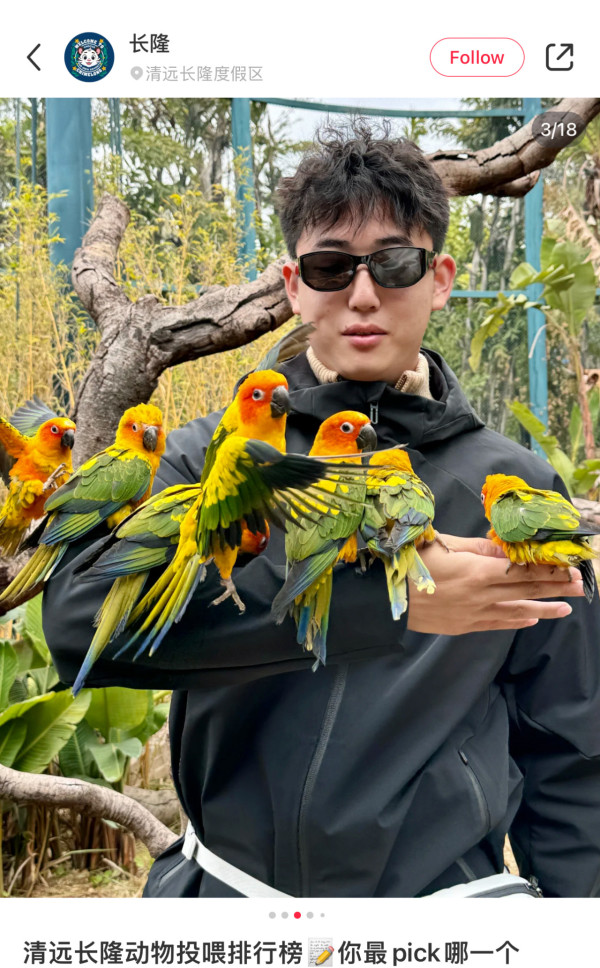 長隆森林王國主題區域｜05. 鸚鵡雨林