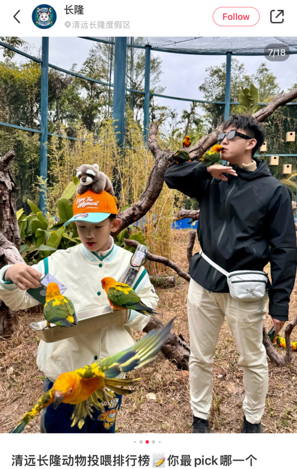 長隆森林王國主題區域｜05. 鸚鵡雨林