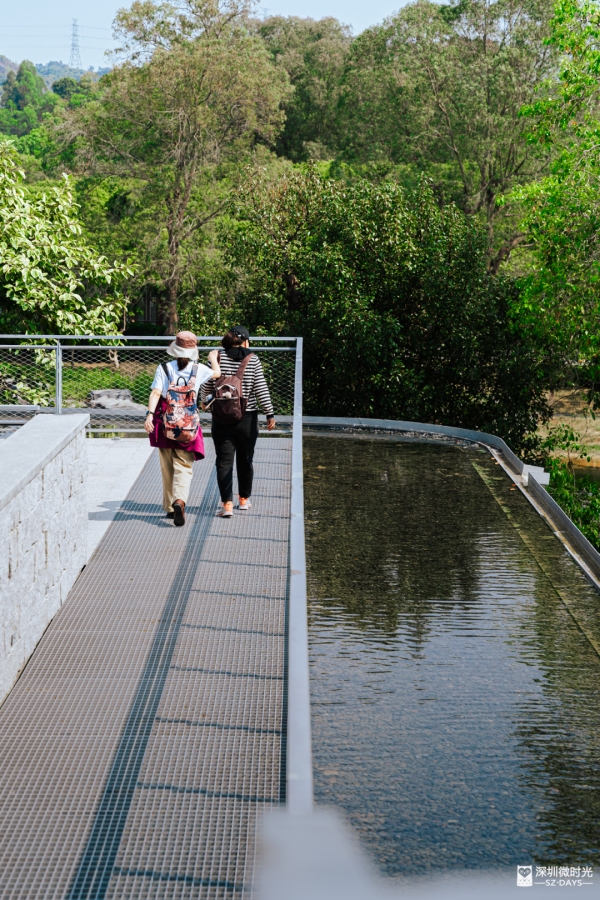 2025正式全線貫通！深圳新地標 西麗湖綠道 全長16.2公里 飽覽溪河美景 