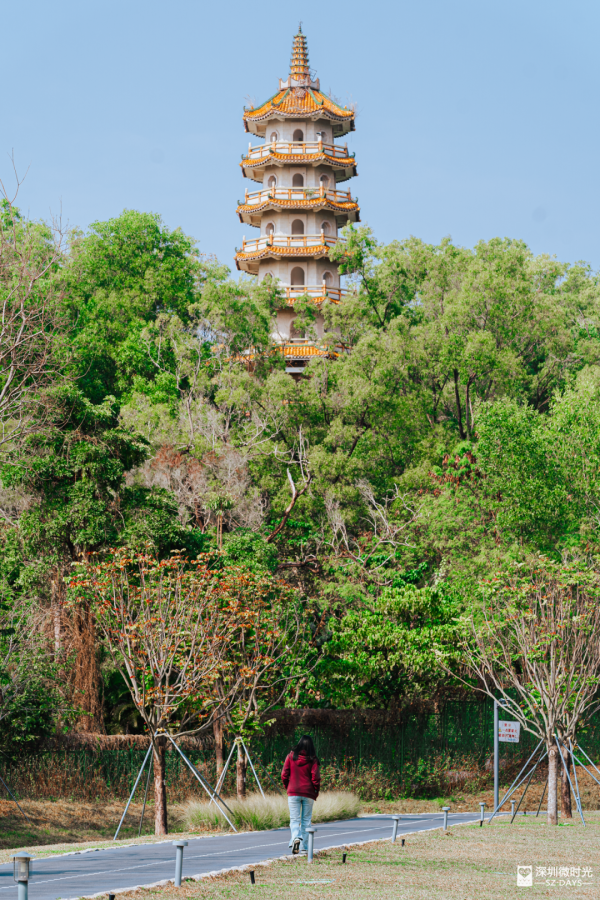 2025正式全線貫通！深圳新地標 西麗湖綠道 全長16.2公里 飽覽溪河美景 