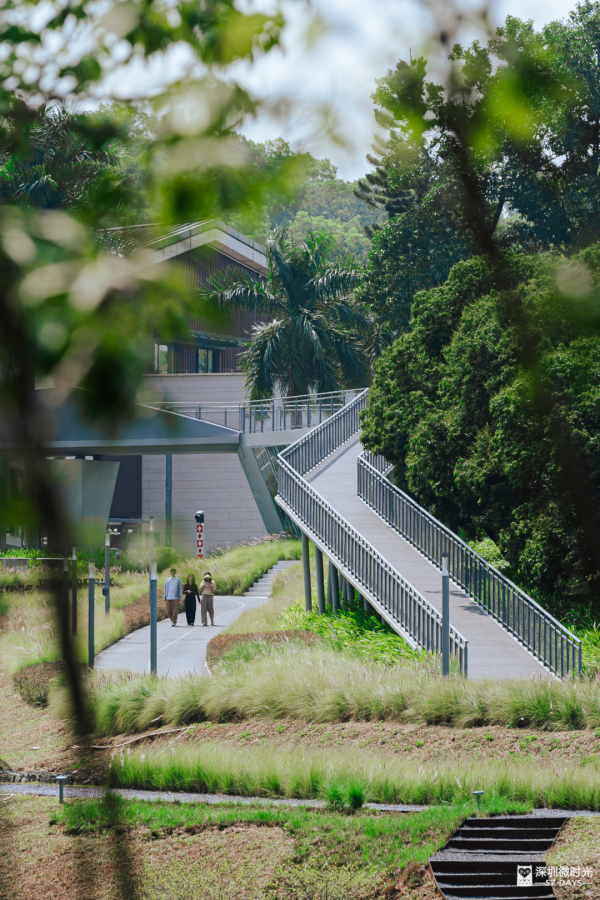2025正式全線貫通！深圳新地標 西麗湖綠道 全長16.2公里 飽覽溪河美景 