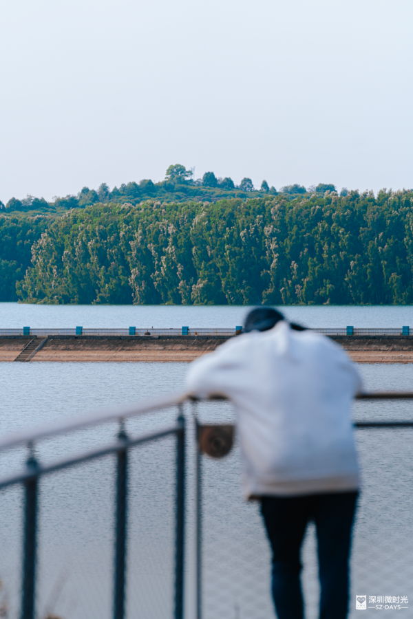 2025正式全線貫通！深圳新地標 西麗湖綠道 全長16.2公里 飽覽溪河美景 