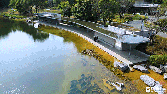 2025正式全線貫通！深圳新地標 西麗湖綠道 全長16.2公里 飽覽溪河美景 