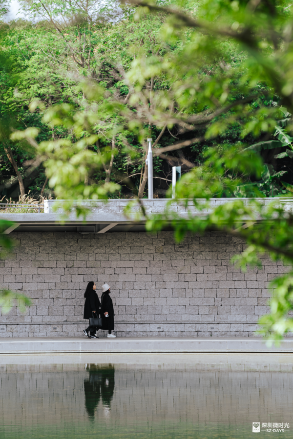 2025正式全線貫通！深圳新地標 西麗湖綠道 全長16.2公里 飽覽溪河美景 