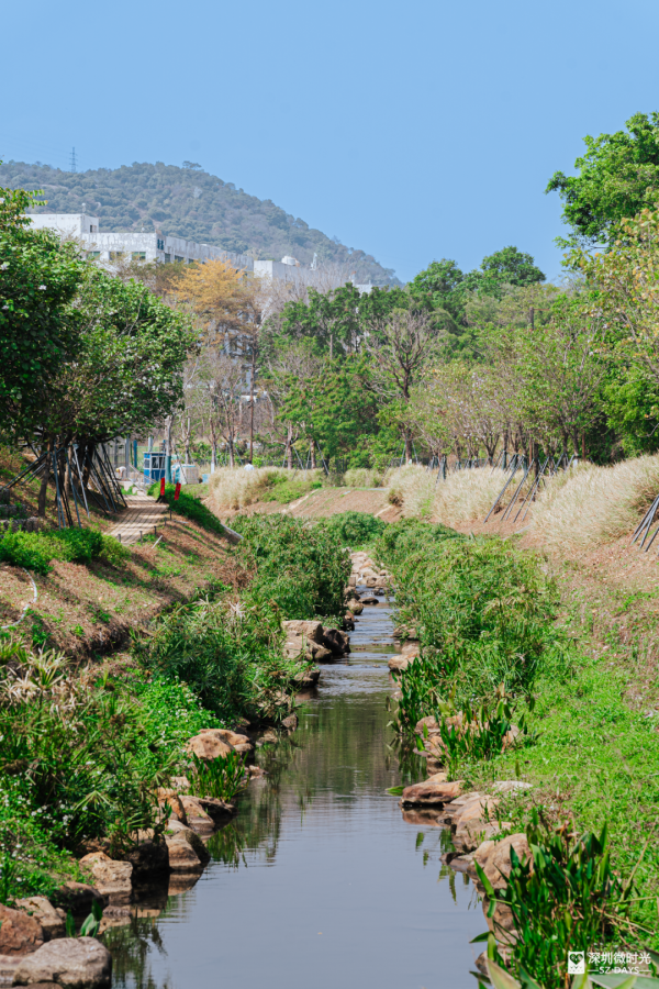 2025正式全線貫通！深圳新地標 西麗湖綠道 全長16.2公里 飽覽溪河美景 