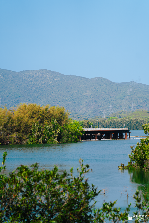 2025正式全線貫通！深圳新地標 西麗湖綠道 全長16.2公里 飽覽溪河美景 