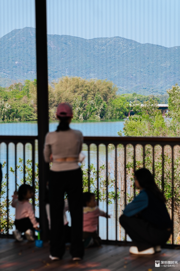 2025正式全線貫通！深圳新地標 西麗湖綠道 全長16.2公里 飽覽溪河美景 