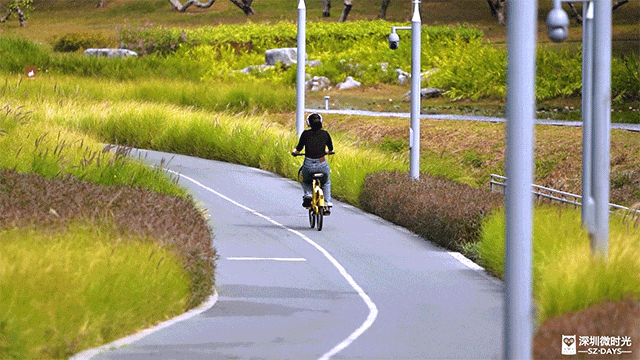 2025正式全線貫通！深圳新地標 西麗湖綠道 全長16.2公里 飽覽溪河美景 