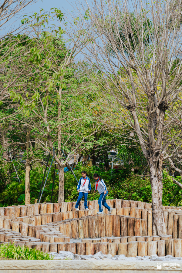 2025正式全線貫通！深圳新地標 西麗湖綠道 全長16.2公里 飽覽溪河美景 