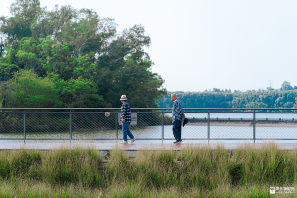 2025正式全線貫通！深圳新地標 西麗湖綠道 全長16.2公里 飽覽溪河美景 