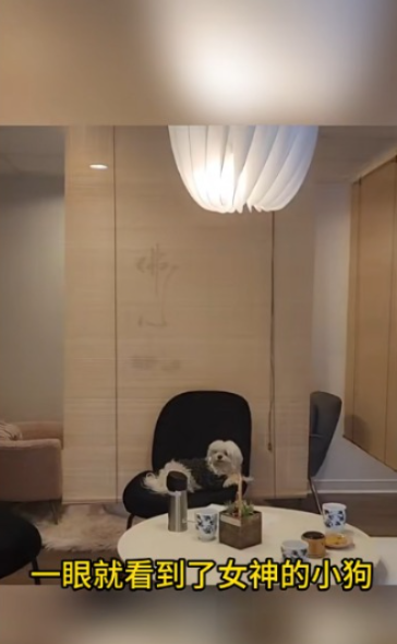 一代女神王祖賢加拿大開養生艾灸館 內部環境曝光!一小時收費如此