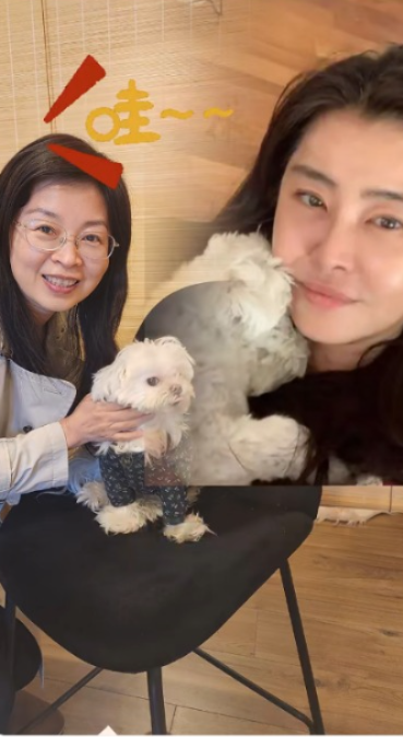 一代女神王祖賢加拿大開養生艾灸館 內部環境曝光!一小時收費如此